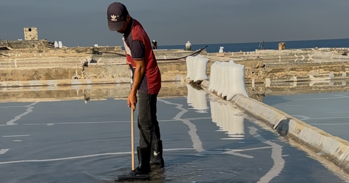 Salt crystallization in traditional salt ponds