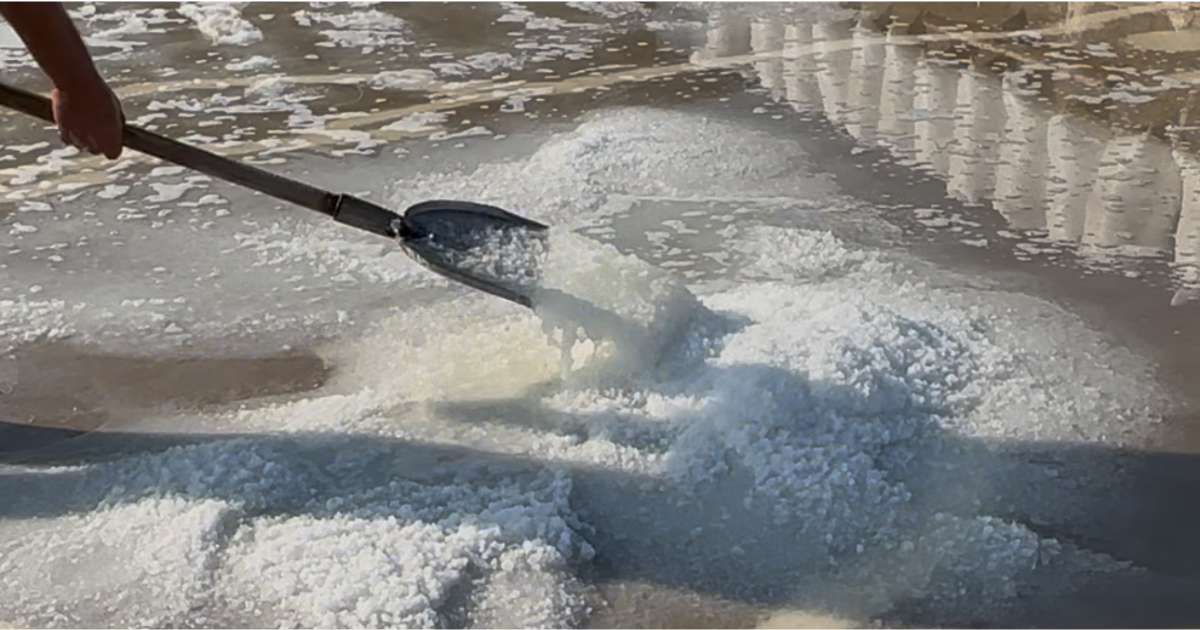 Traditional salt-making process in Anfeh