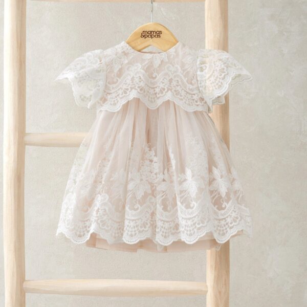 Lace Frill Sleeve Dress