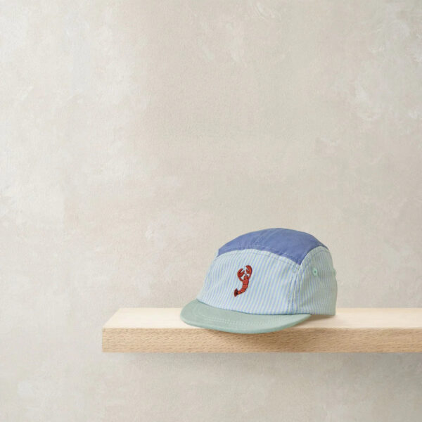 Blue Striped Cap