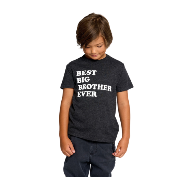 Best Big Brother Short Sleeves Tshirt