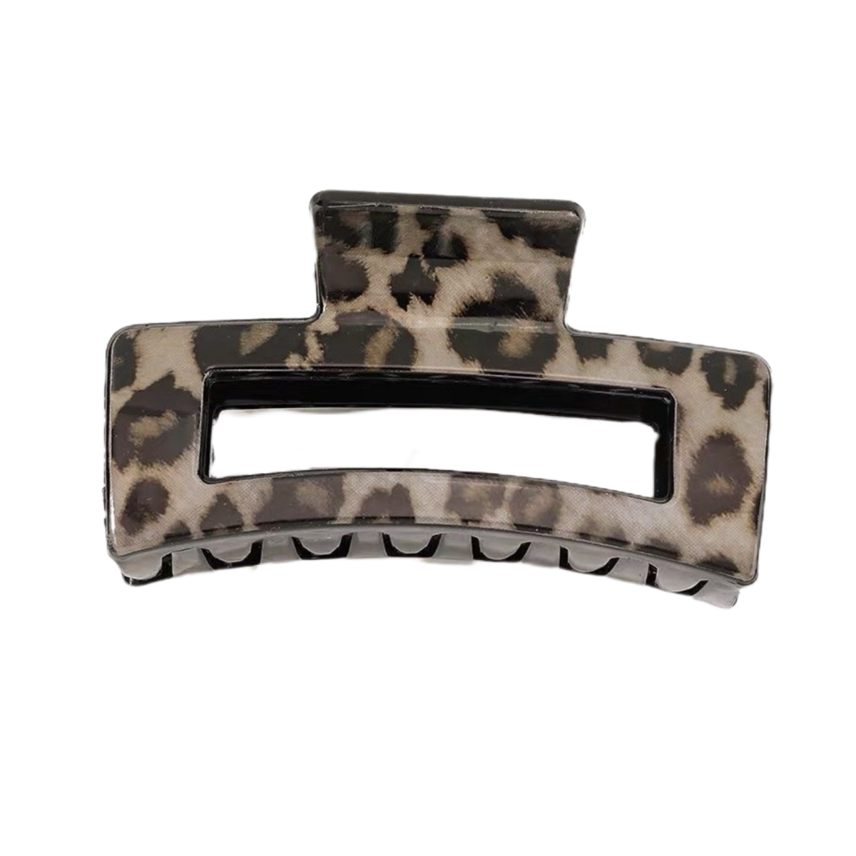 photo-output-1-1 A. Leo Clip: Greyish
