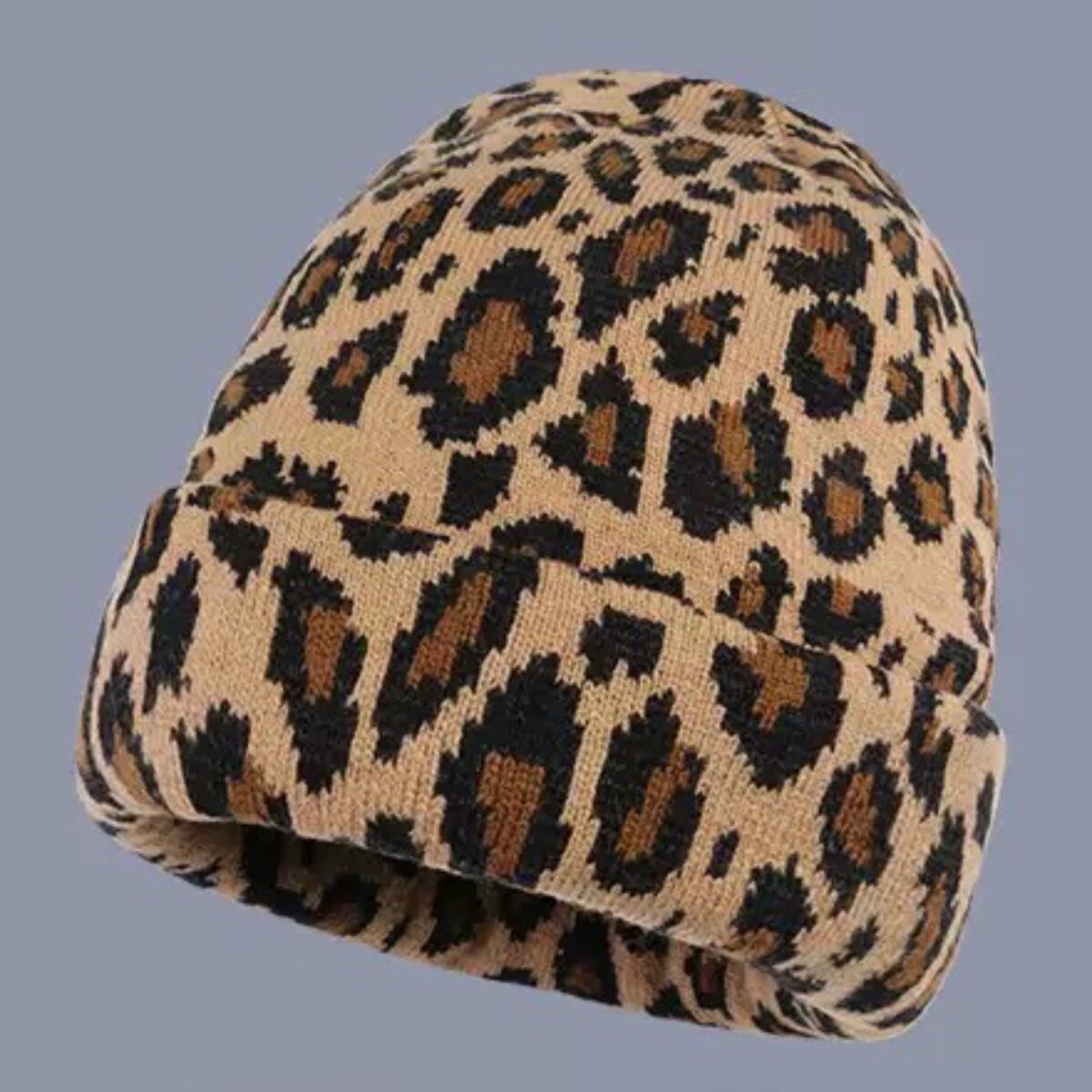 photo-output-1-4-1 A. Leo Beanie