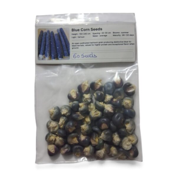 Blue Corn Seeds