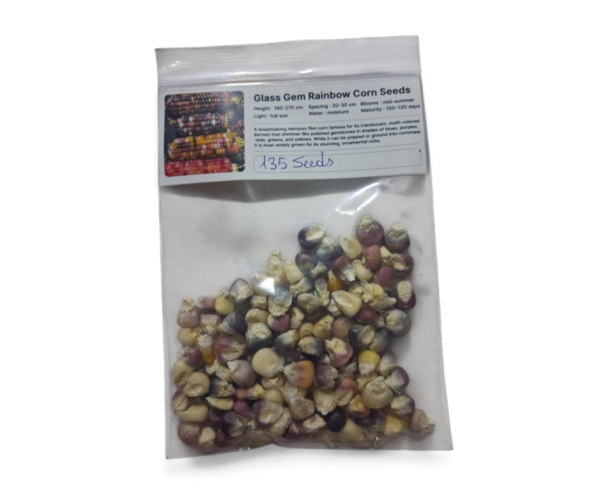 photo_glasss_gem_rainbow-1.jpg Glass Gem Rainbow Corn seeds - Image 1
