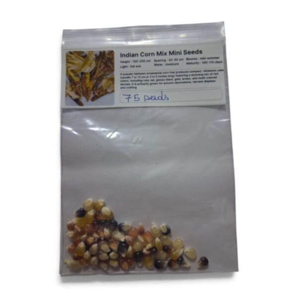 Indian Corn Mix Mini