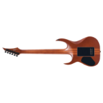 Solar Guitars S1.6PP – Poplar Purple Burst Matte - Image 