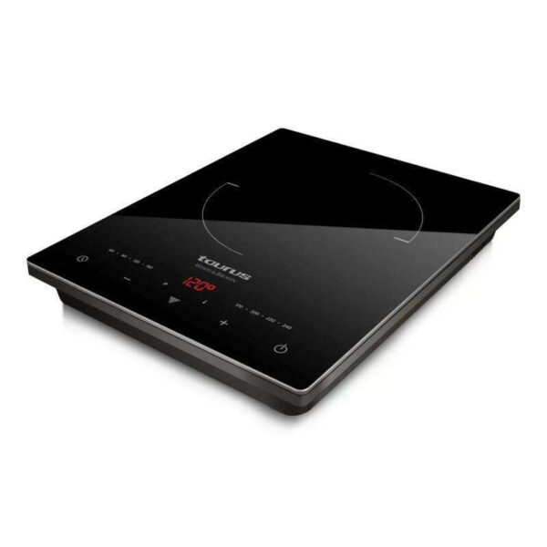 DarkFire Daily Induction Hob
