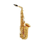 Wisemann WI-0901AS Taurus Eb Alto Saxophone Kit - Image 